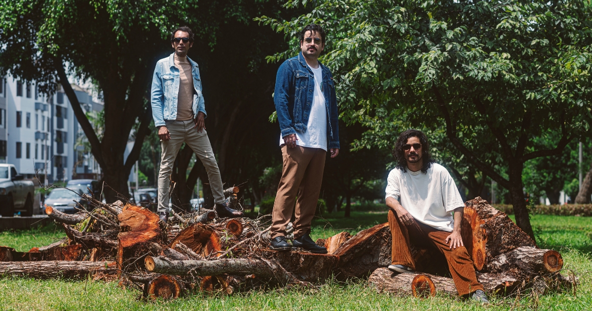 Los ficus single.gravedad